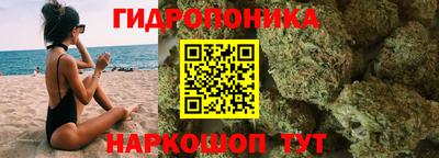 стаф Севастополь