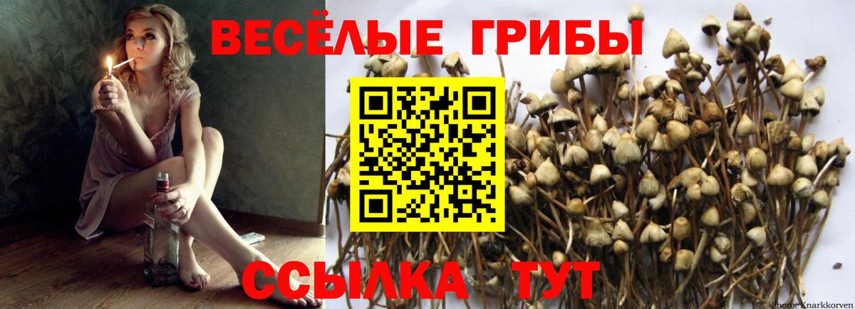 Галлюциногенные грибы прущие грибы  Вход с VPN  Рубцовск 